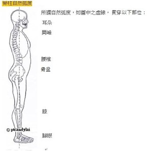 Diagram - spine neutral alignment