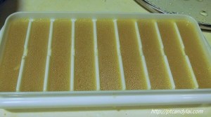 2014.9.17 ice soup 3